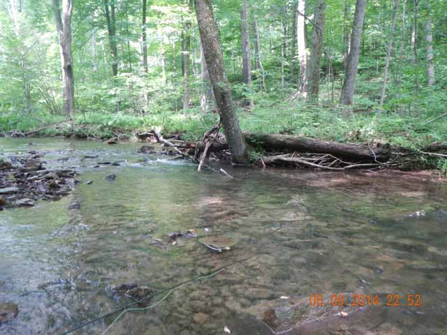 fowlers hollow.Laural run 06-09-14 096.jpg -                                